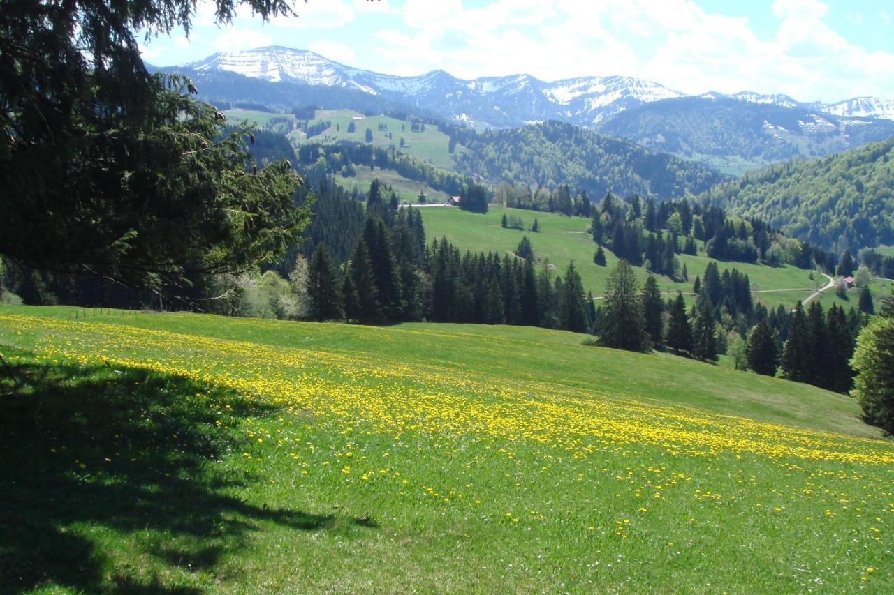 Hotel Allgauer Hof Oberstaufen Exteriér fotografie