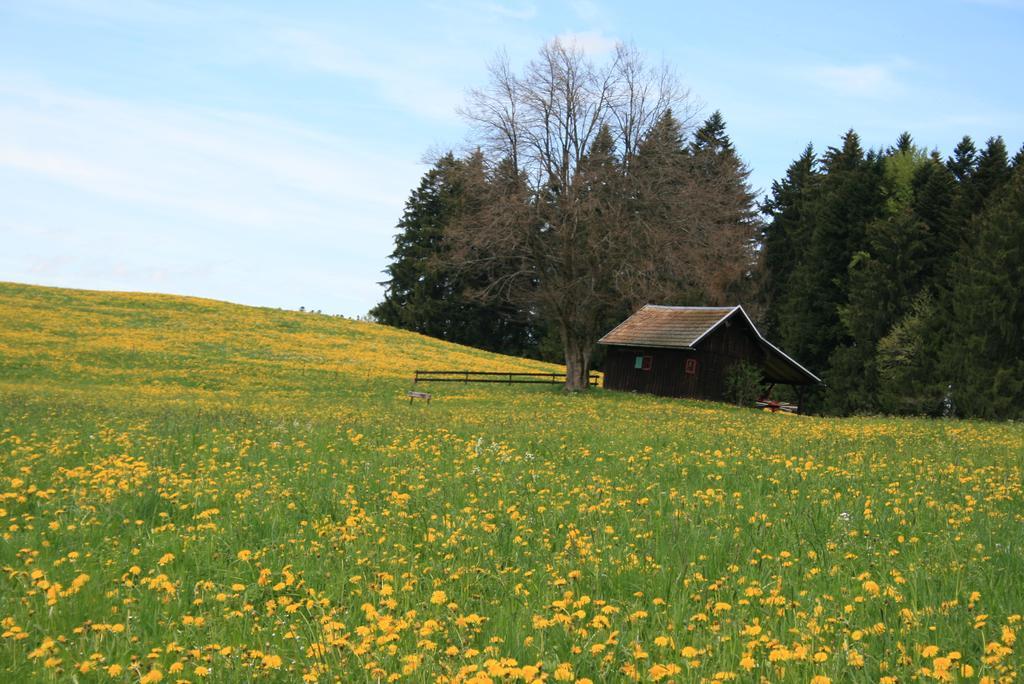 Hotel Allgauer Hof Oberstaufen Exteriér fotografie